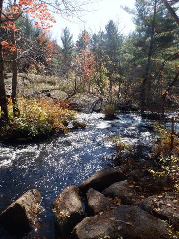 Photo from Thanksgiving on the High Falls Loop