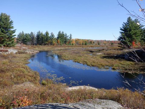 Photo from Thanksgiving on the High Falls Loop