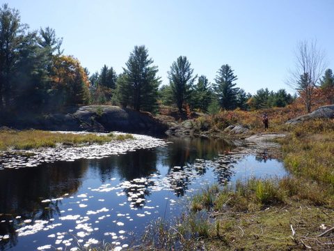 Photo from Thanksgiving on the High Falls Loop