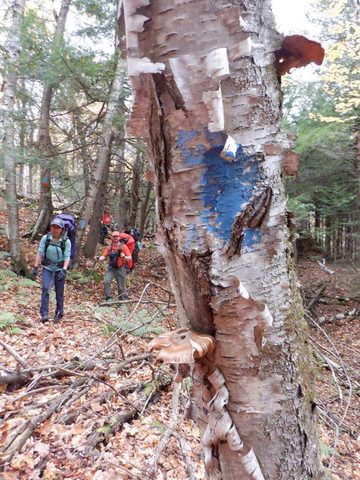 Photo from Thanksgiving on the High Falls Loop