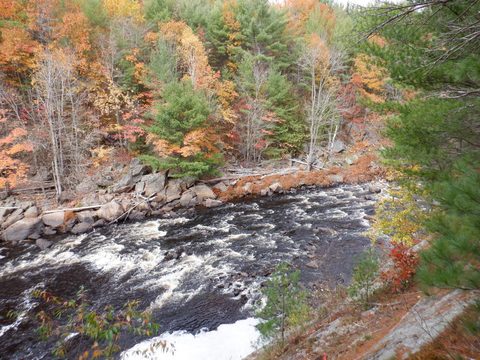 Photo from Thanksgiving on the High Falls Loop