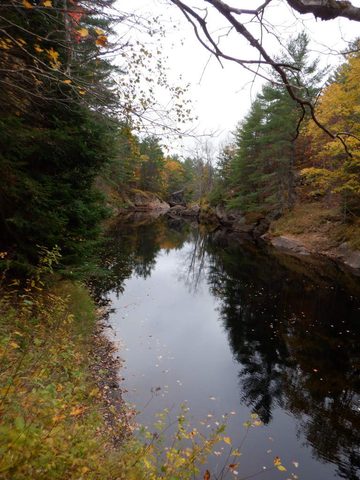 Photo from Thanksgiving on the High Falls Loop