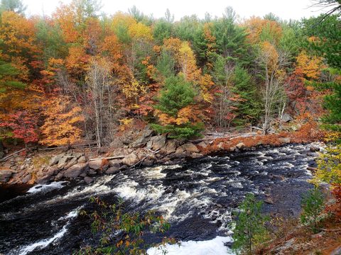 Photo from Thanksgiving on the High Falls Loop