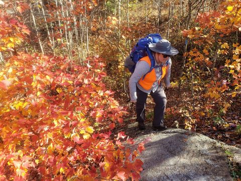 Photo from Thanksgiving on the High Falls Loop