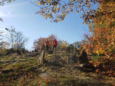 Photo from Thanksgiving on the High Falls Loop