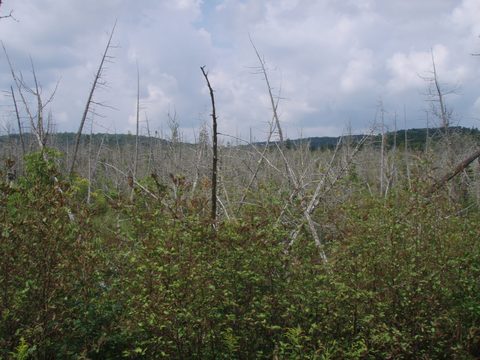 Photo from Bike Camping, Algonquin Park Loop