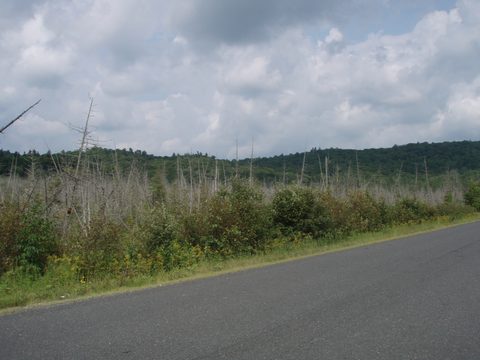 Photo from Bike Camping, Algonquin Park Loop