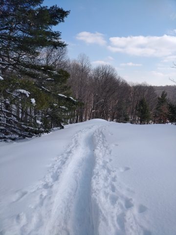 Photo from Mike's Excellent Winter Camping Adventure