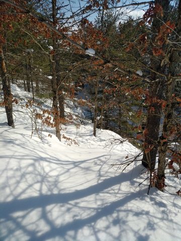 Photo from Mike's Excellent Winter Camping Adventure