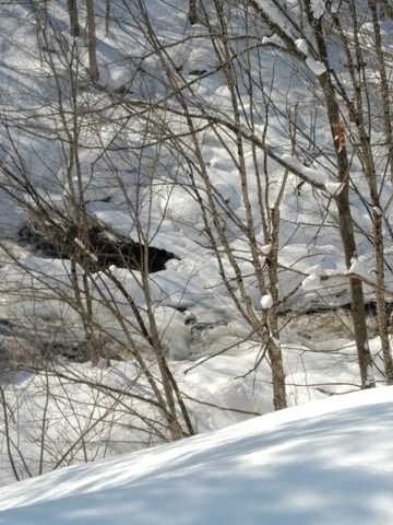 Photo from Mike's Excellent Winter Camping Adventure
