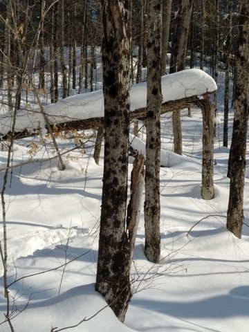 Photo from Mike's Excellent Winter Camping Adventure