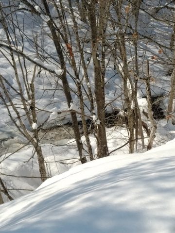 Photo from Mike's Excellent Winter Camping Adventure