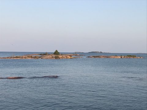 Photo from Backcountry Kayak trip to Philip Edward Island