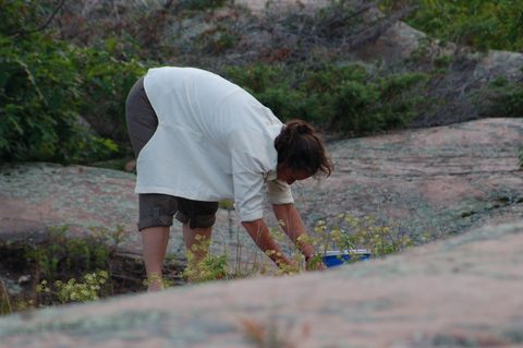 Photo from Backcountry Kayak trip to Philip Edward Island