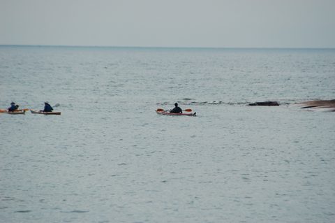 Photo from Backcountry Kayak trip to Philip Edward Island