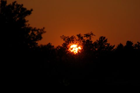 Photo from Backcountry Kayak trip to Philip Edward Island