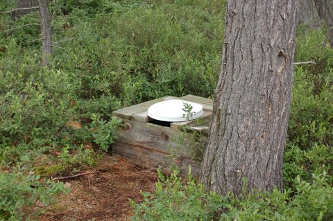 Photo from Backcountry Kayak trip to Philip Edward Island