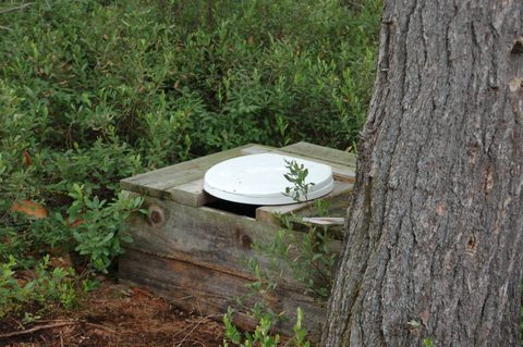 Photo from Backcountry Kayak trip to Philip Edward Island