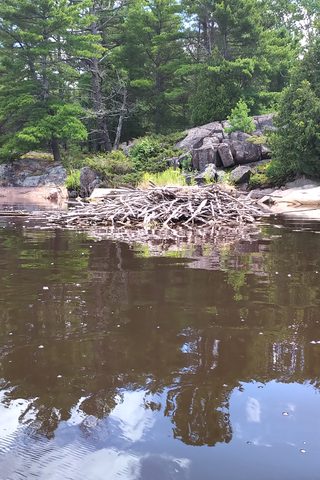 Photo from Backcountry Kayak trip to Philip Edward Island