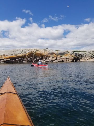 Photo from Backcountry Kayak trip to Philip Edward Island