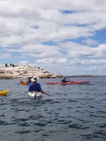 Photo from Backcountry Kayak trip to Philip Edward Island