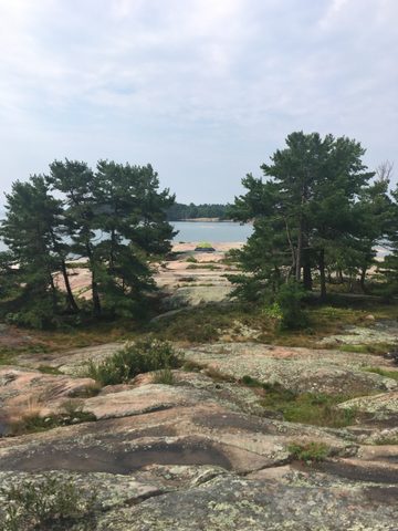 Photo from Backcountry Kayak trip to Philip Edward Island