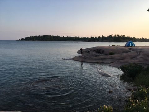 Photo from Backcountry Kayak trip to Philip Edward Island