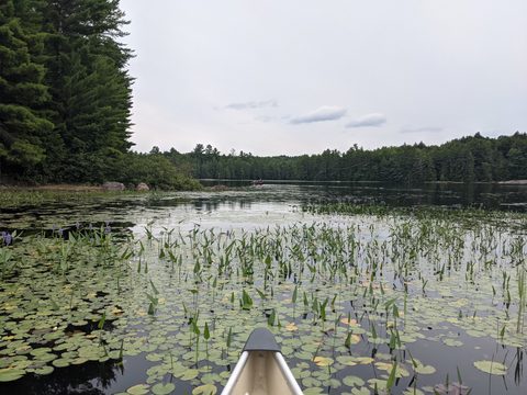 Photo from Backcountry Canoe Trip in the Kawartha Highlands