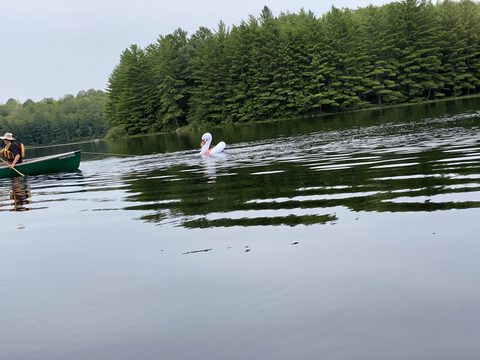 Photo from Backcountry Canoe Trip in the Kawartha Highlands