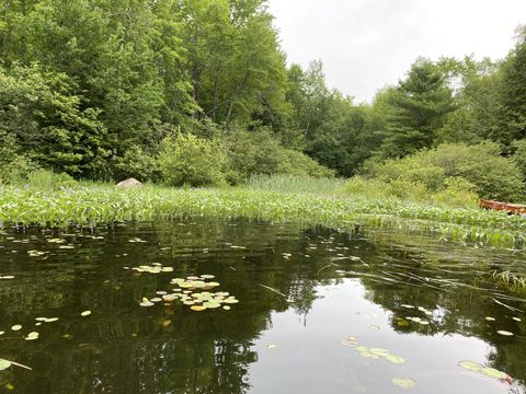 Photo from Backcountry Canoe Trip in the Kawartha Highlands