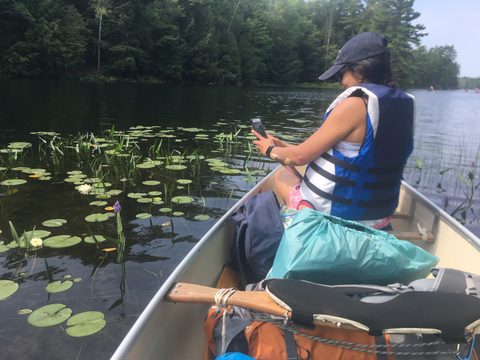 Photo from Backcountry Canoeing in The Massasauga Provincial Park