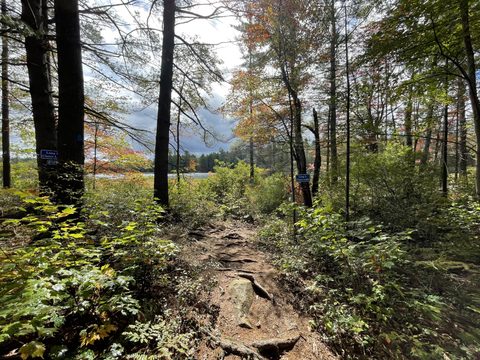 Photo from Backcountry Hike in Bon Echo Provincial Park
