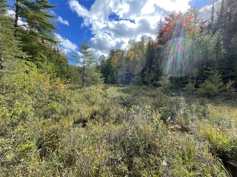 Photo from Backcountry Hike in Bon Echo Provincial Park