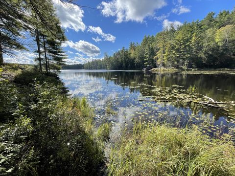 Photo from Backcountry Hike in Bon Echo Provincial Park
