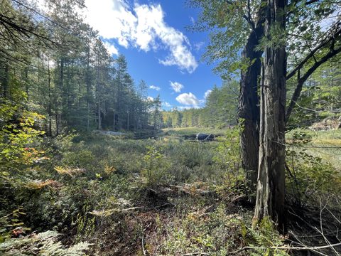 Photo from Backcountry Hike in Bon Echo Provincial Park