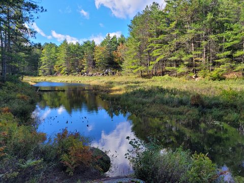 Photo from Backcountry Hike in Bon Echo Provincial Park