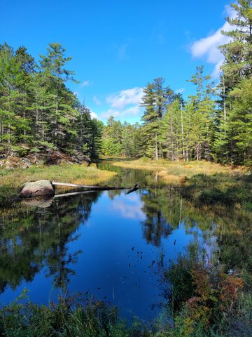 Photo from Backcountry Hike in Bon Echo Provincial Park