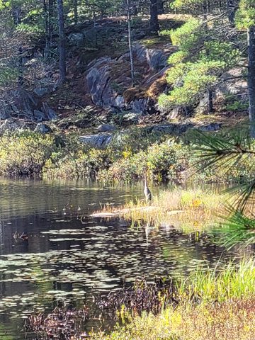 Photo from Backcountry Hike in Bon Echo Provincial Park