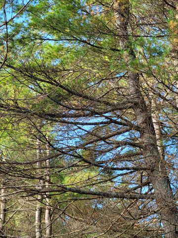 Photo from Backcountry Hike in Bon Echo Provincial Park