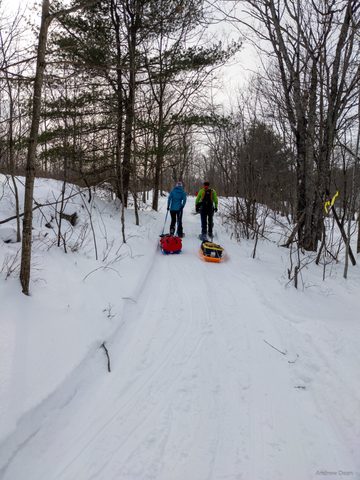 Photo from Queen Elizabeth II Wildlands - 2022 Pulk Pull