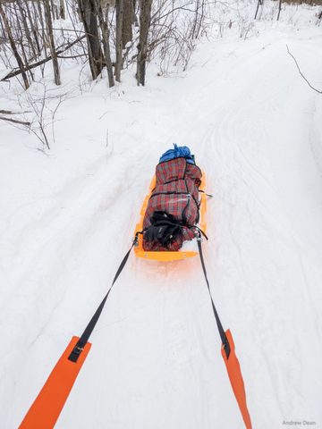 Photo from Queen Elizabeth II Wildlands - 2022 Pulk Pull