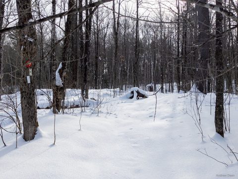 Photo from Queen Elizabeth II Wildlands - 2022 Pulk Pull