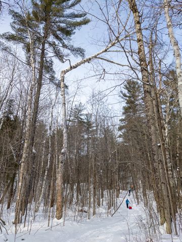 Photo from Queen Elizabeth II Wildlands - 2022 Pulk Pull