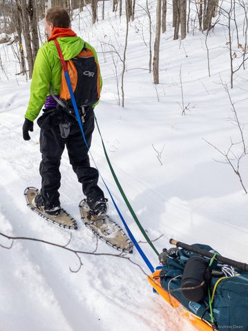Photo from Queen Elizabeth II Wildlands - 2022 Pulk Pull