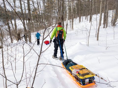 Photo from Queen Elizabeth II Wildlands - 2022 Pulk Pull