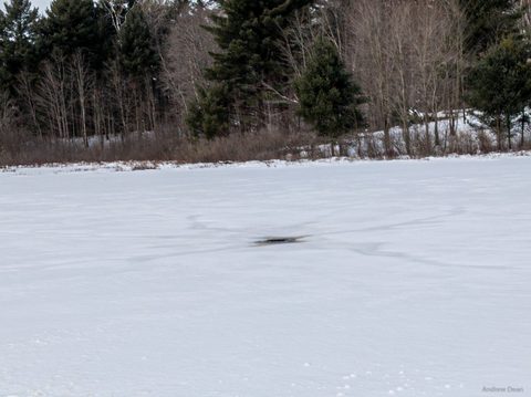 Photo from Queen Elizabeth II Wildlands - 2022 Pulk Pull