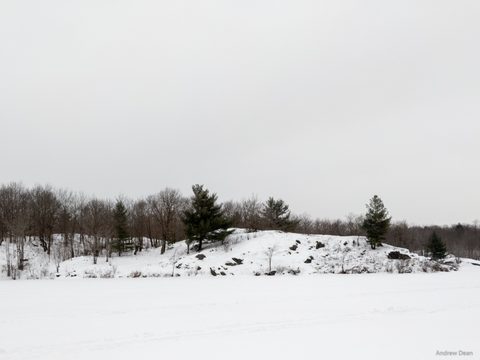 Photo from Queen Elizabeth II Wildlands - 2022 Pulk Pull