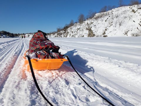 Photo from Queen Elizabeth II Wildlands - 2022 Pulk Pull