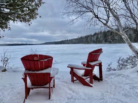 Photo from Snowshoeing From Cyprus Lake To Stormhaven