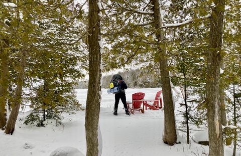 Photo from Snowshoeing From Cyprus Lake To Stormhaven